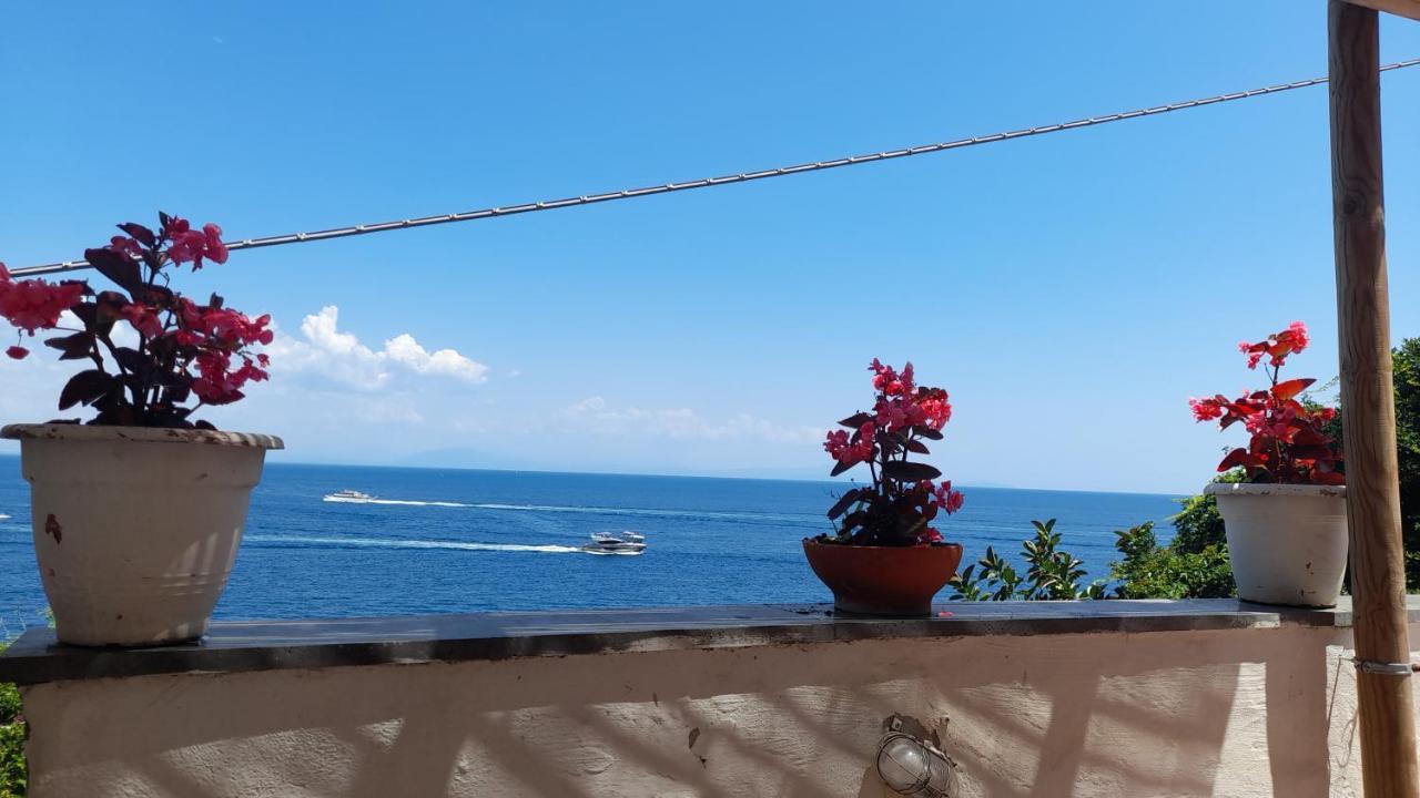 Villa Gianna Amalfi Coast كونكا دي ماريني المظهر الخارجي الصورة